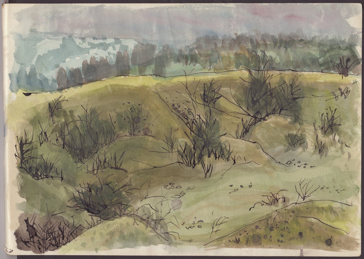 Táj bokrokkal, Olaszország, c1950. alkotó: Shirley Markham