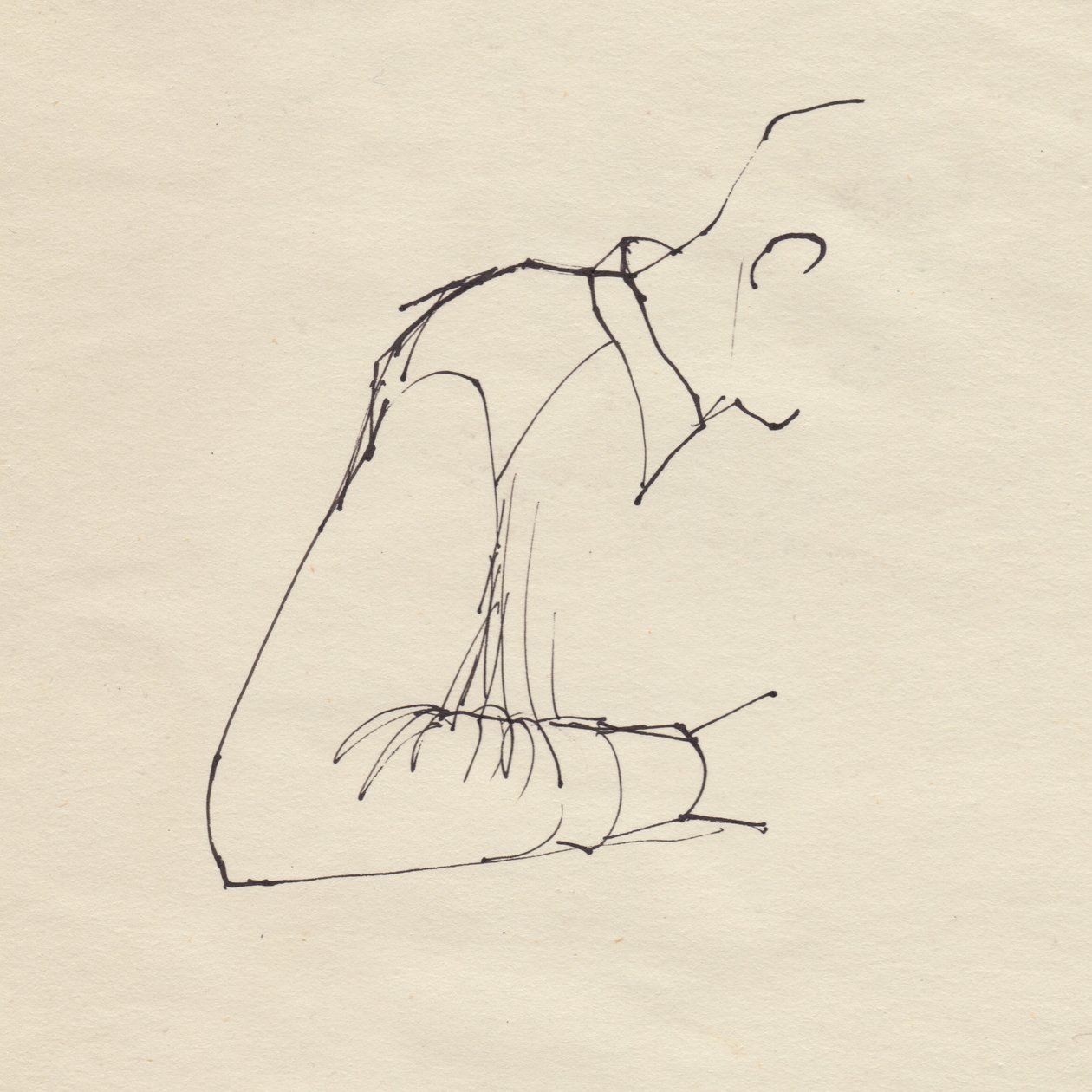 Férfi kar, 1950. alkotó: Shirley Markham