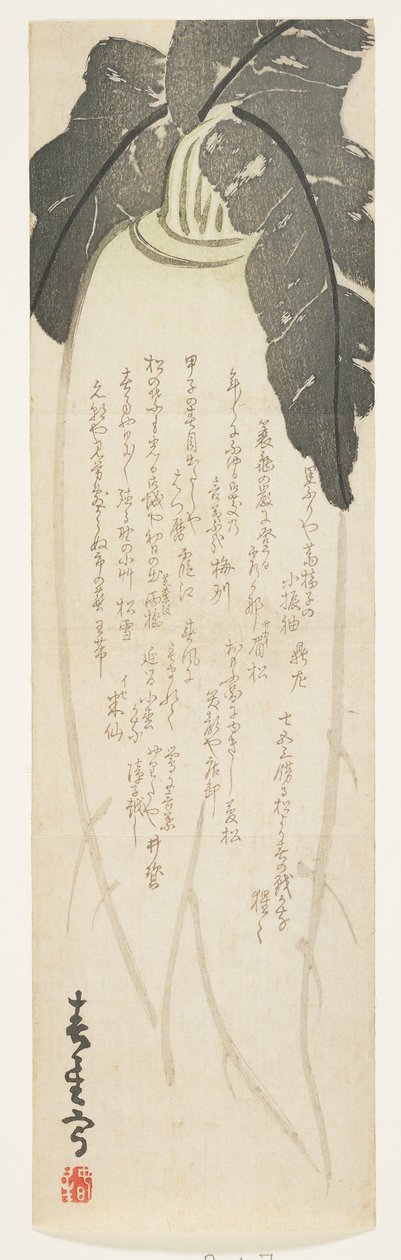 Daikon retek, 1864. január (színes fanyomat) alkotó: Shunsei