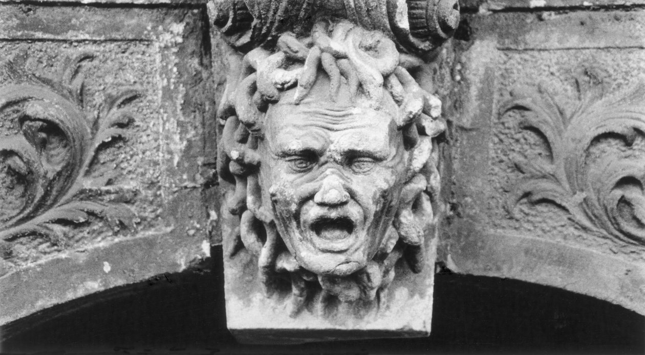 Faragott fej, Schloss Hainewalde, Sachsen, Németország alkotó: Simon Marsden