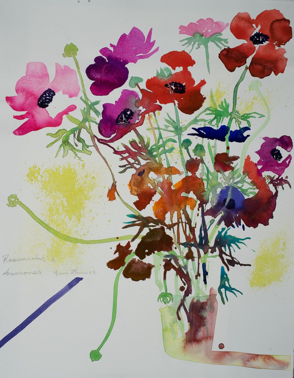 Ranunculus  anemones, 2010 (akvarell) alkotó: Simon Fletcher