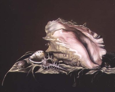 Shells csendélete alkotó: Simon Renard de Saint Andre