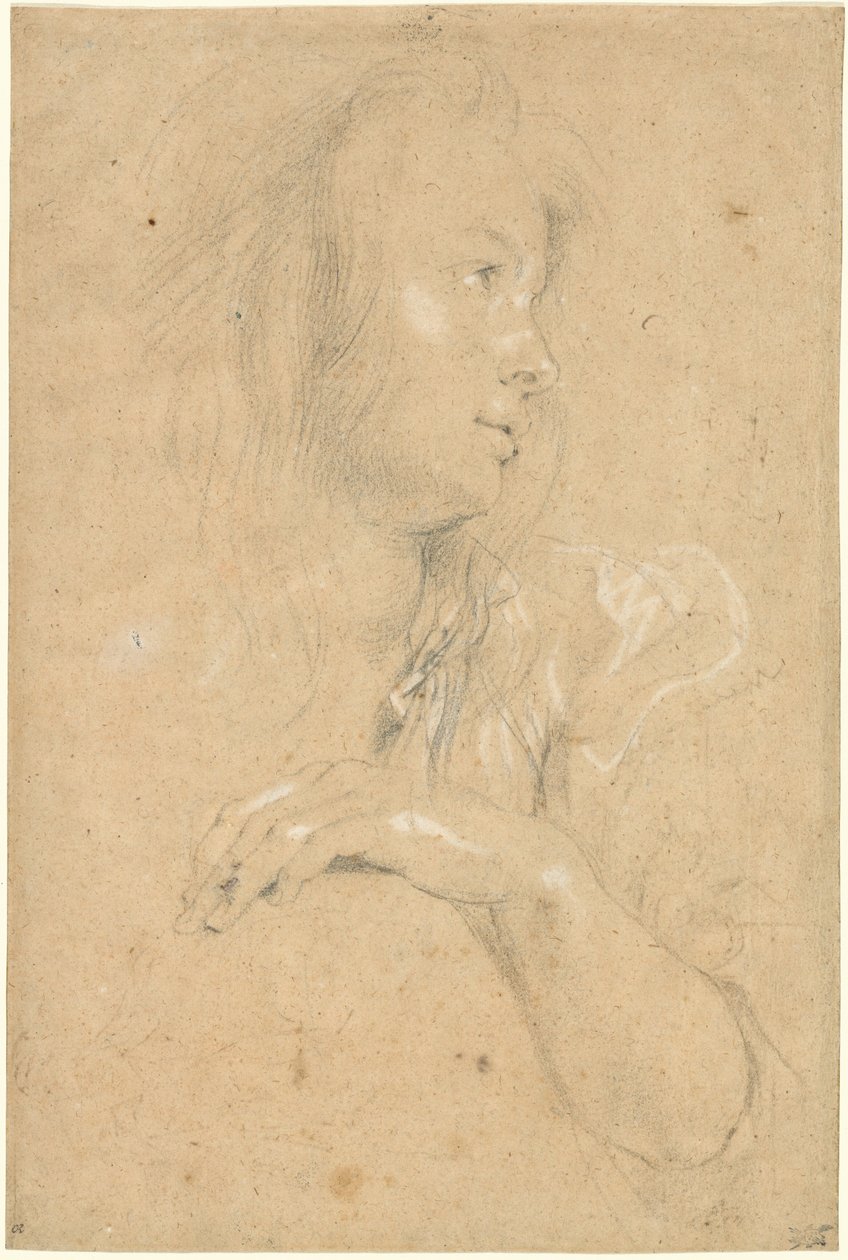 Fiatal nő a profilban alkotó: Sir Peter Paul Rubens