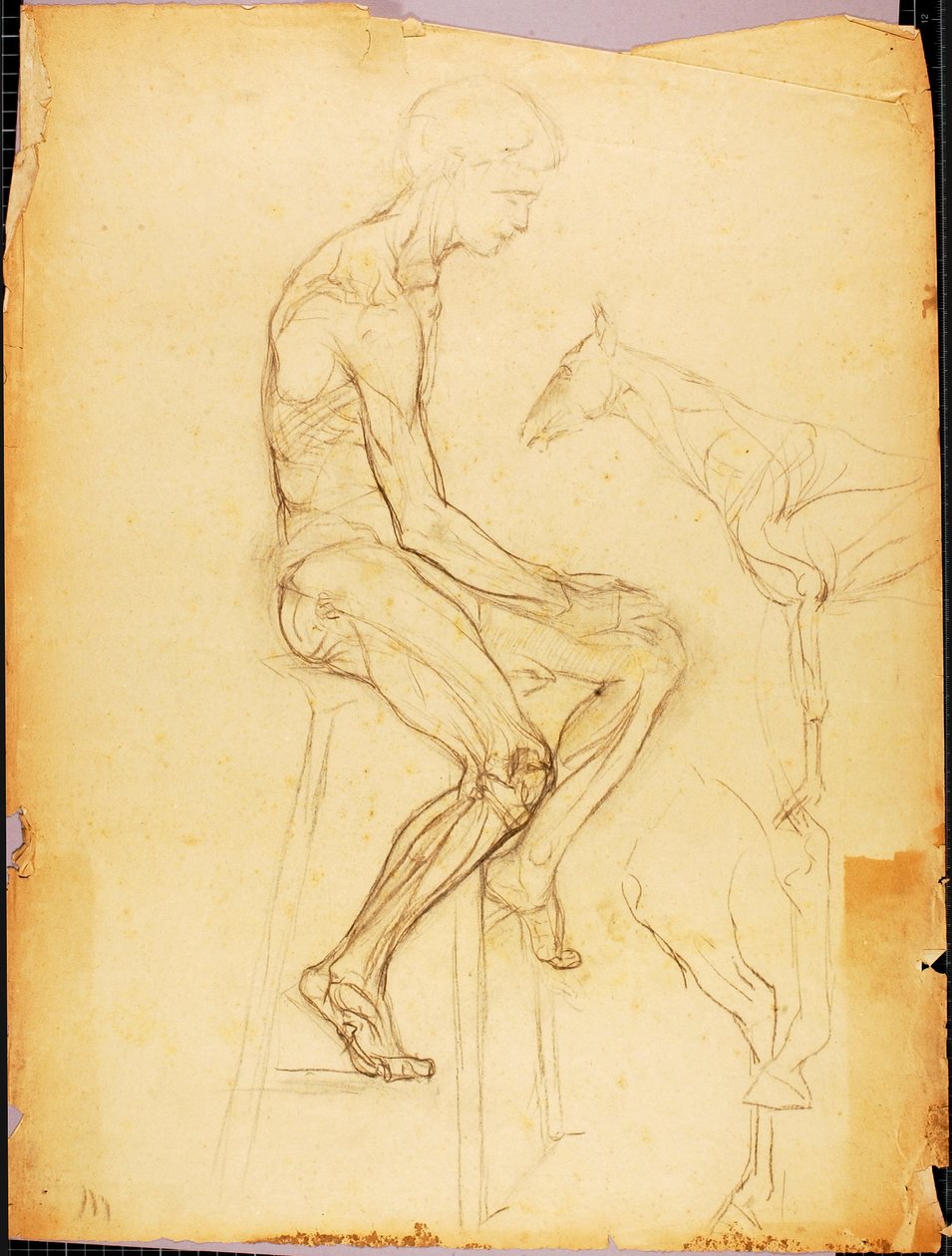 Fiú alkotó: Solon H. Borglum
