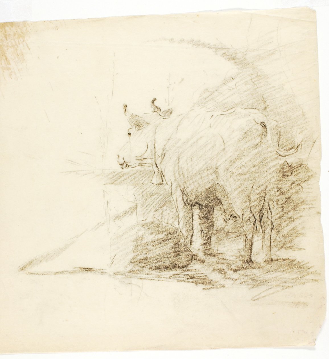 Tehén alkotó: Solon H. Borglum