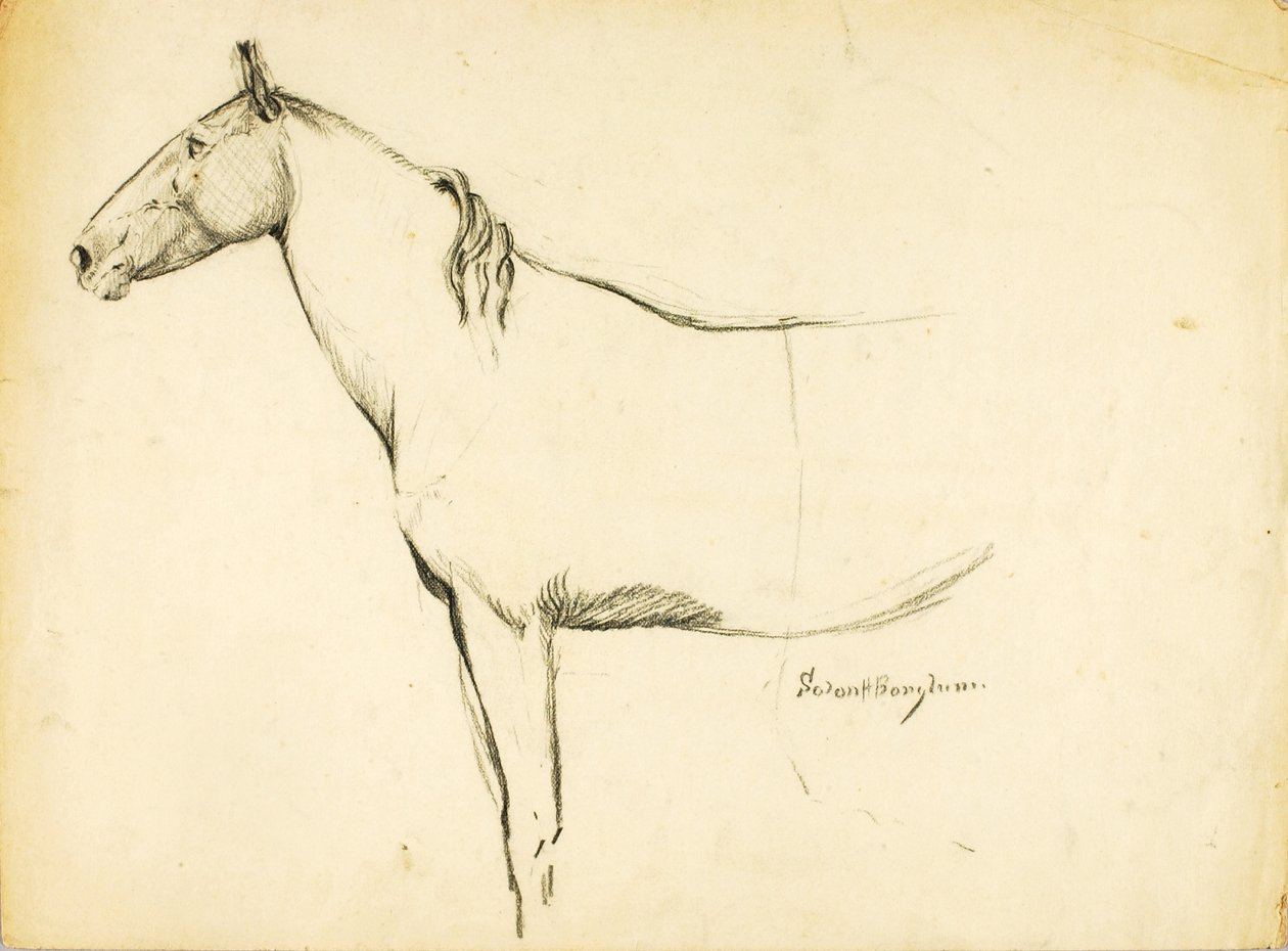 Ló alkotó: Solon H. Borglum