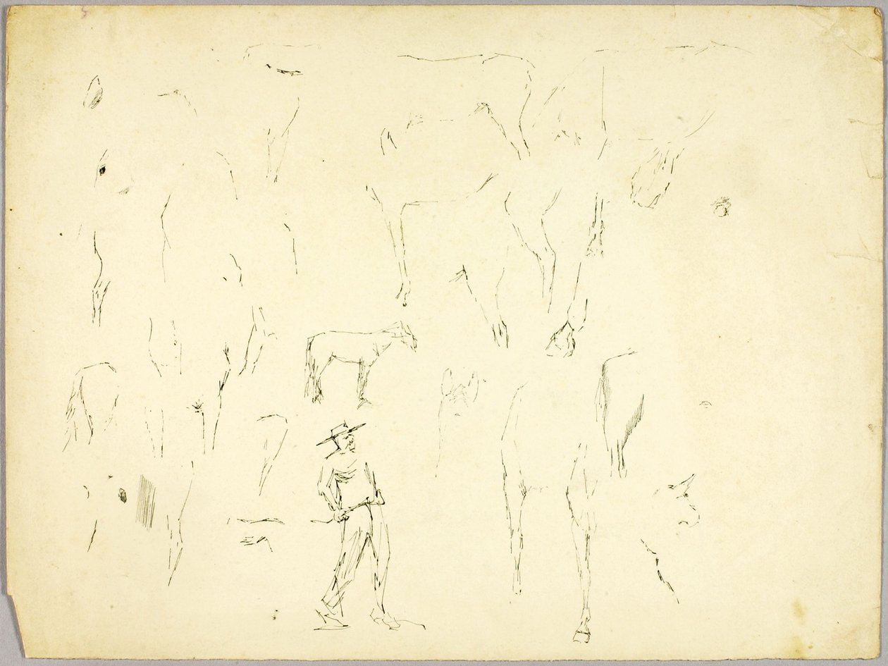Ló tanulmány alkotó: Solon H. Borglum