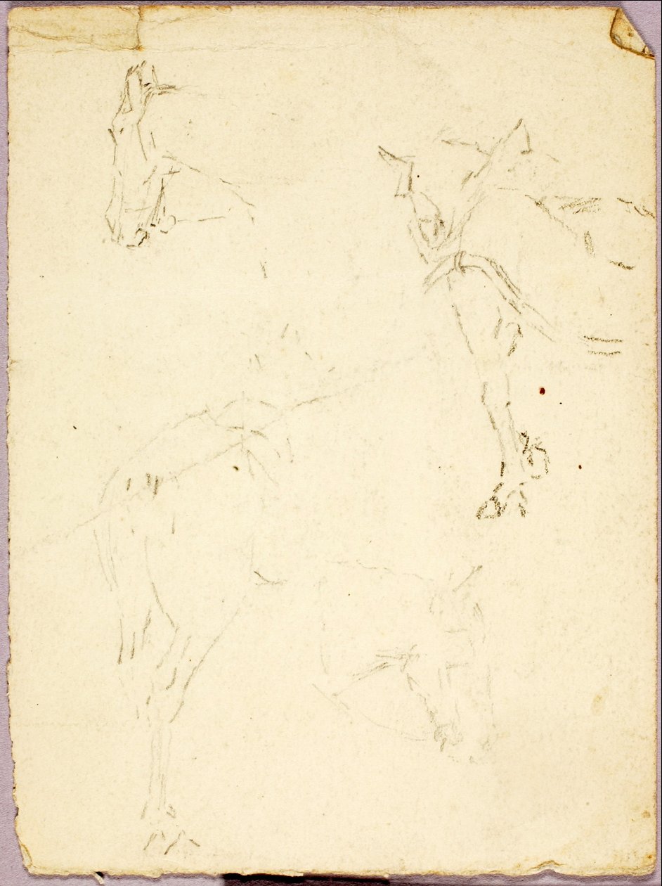 Lovak alkotó: Solon H. Borglum