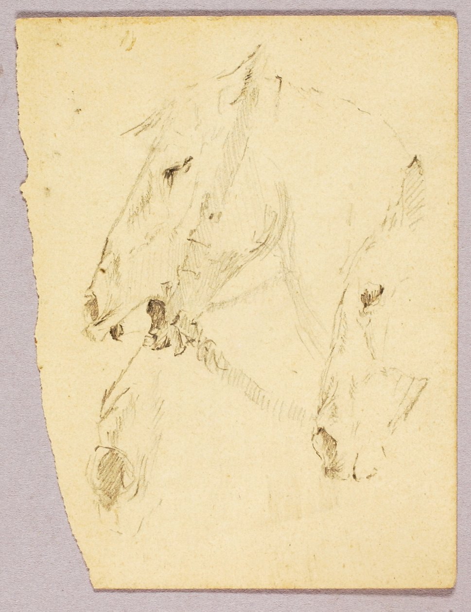 Lófejek alkotó: Solon H. Borglum