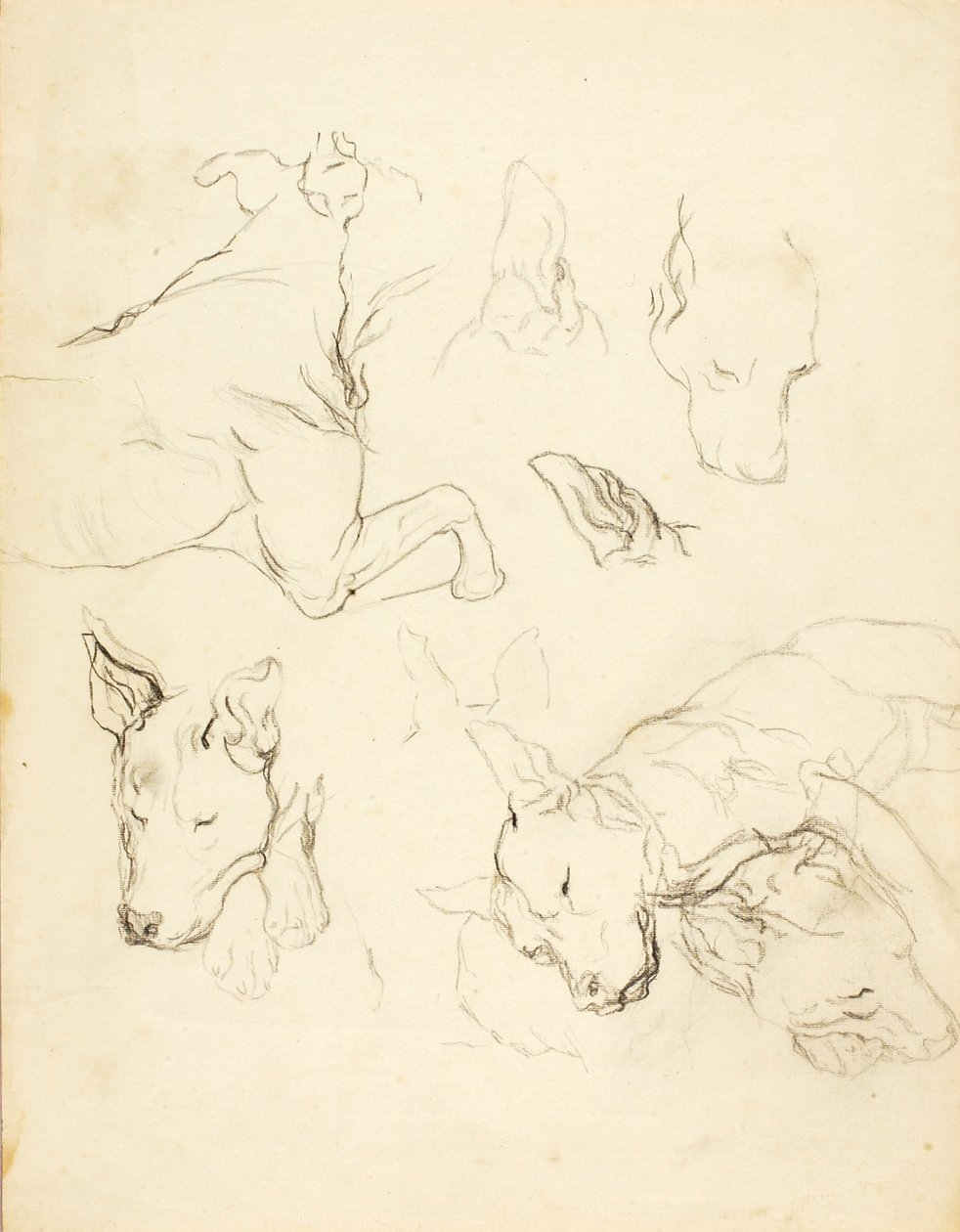 Alvó kutyák alkotó: Solon H. Borglum