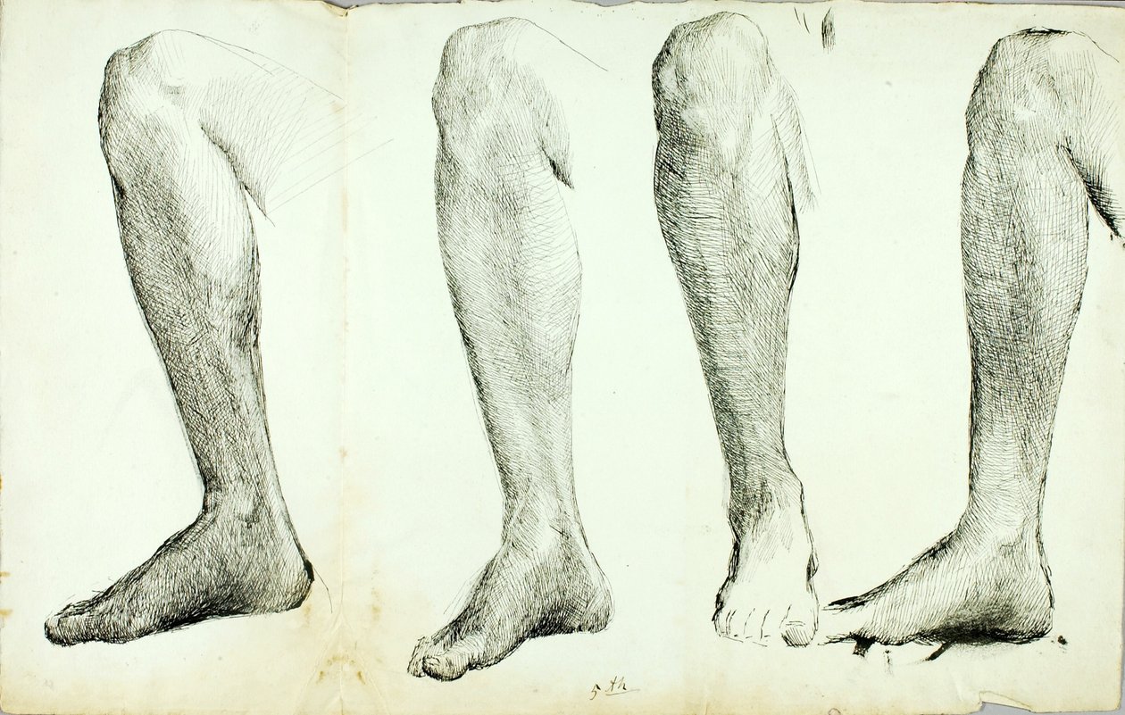 Anatómiai tanulmányok, #5 alkotó: Solon H. Borglum