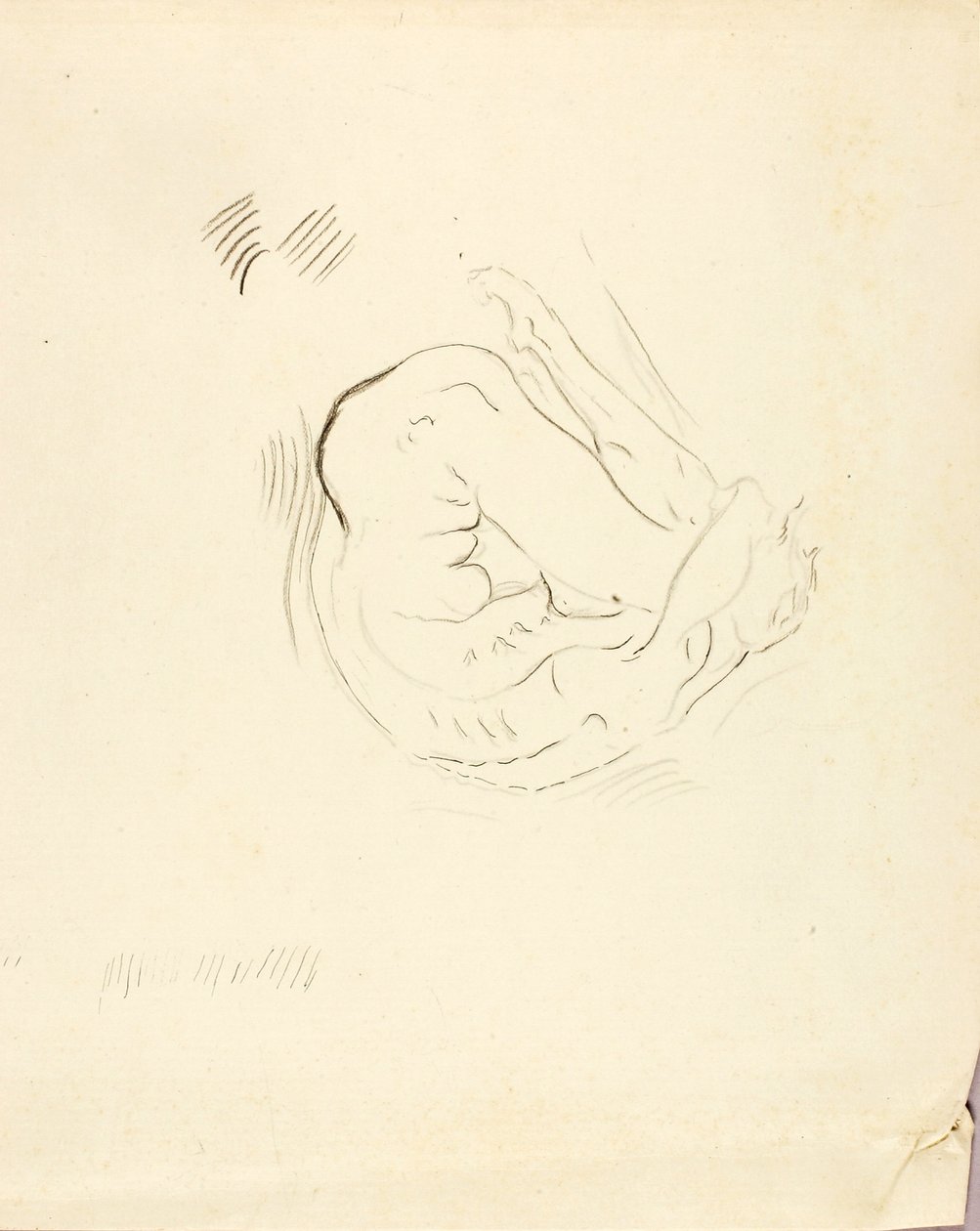 Úszó alkotó: Solon H. Borglum