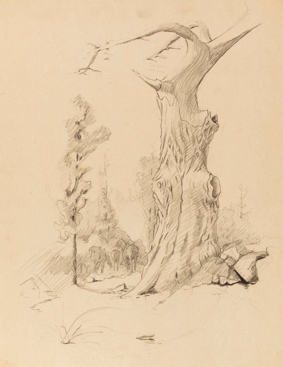 Cím nélkül alkotó: Solon H. Borglum