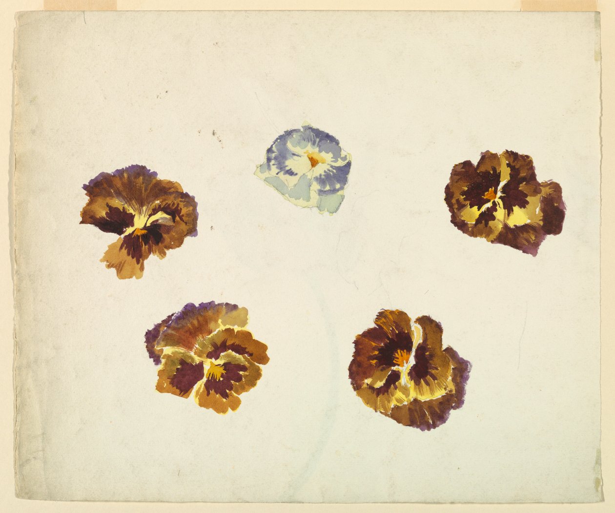 Jobb alkotó: Sophia L. Crownfield