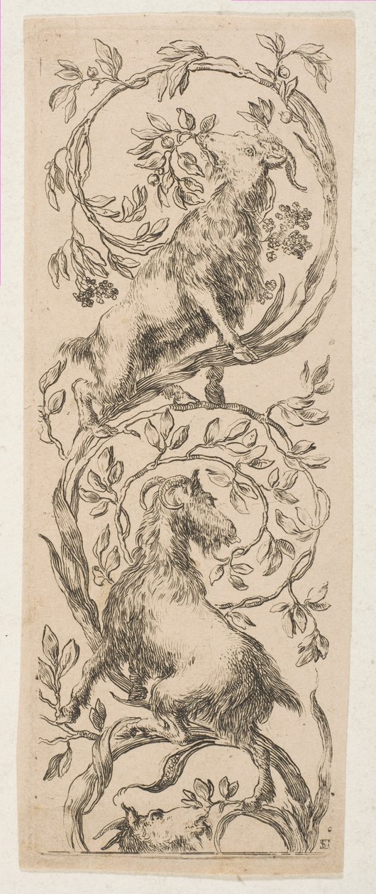 Két kecske rágcsáló ág, kb. 1653. alkotó: Stefano della Bella