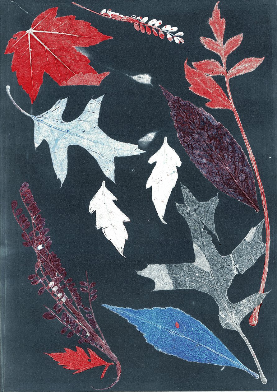 Jol X, 2017 (monoprint, papír) alkotó: Stephen Dow