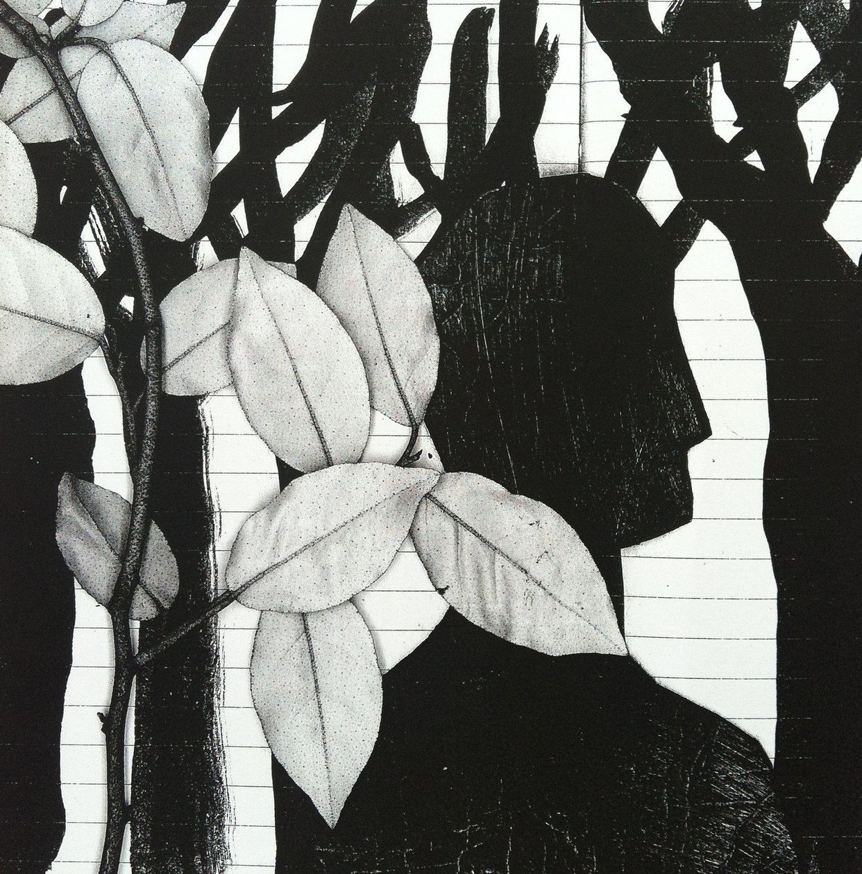 The Woods, 2014 (kollázs) alkotó: Stephen Dow