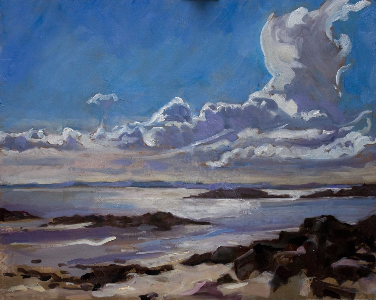 Késő délután Gallowayben, 2010 alkotó: Sue Wales