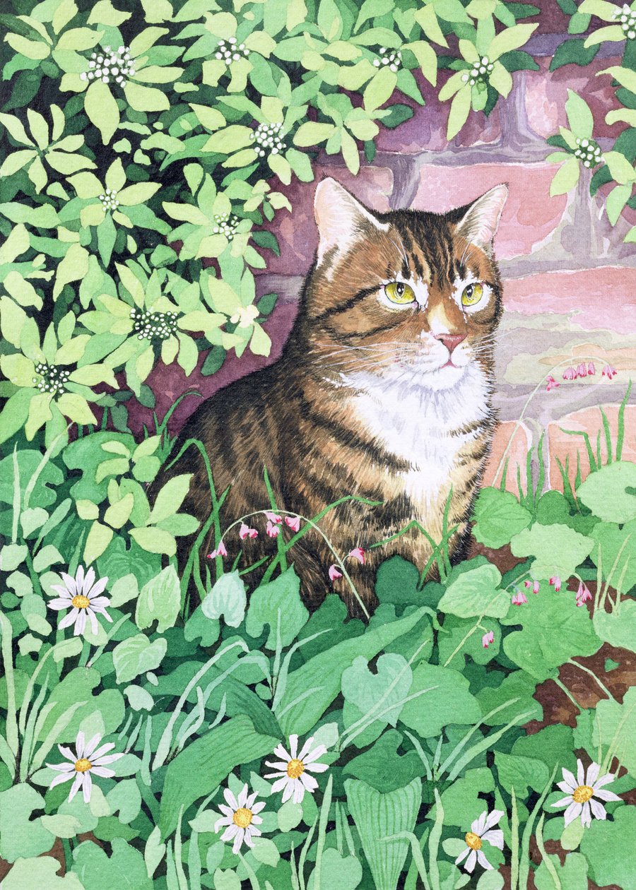 Jackies Cat (kert kialakítása) alkotó: Suzanne Bailey