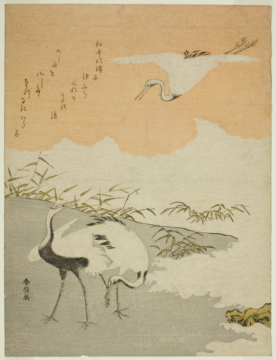 Daruk a tenger partján alkotó: Suzuki Harunobu