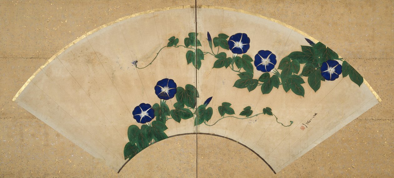 Morning Glories alkotó: Suzuki Kiitsu