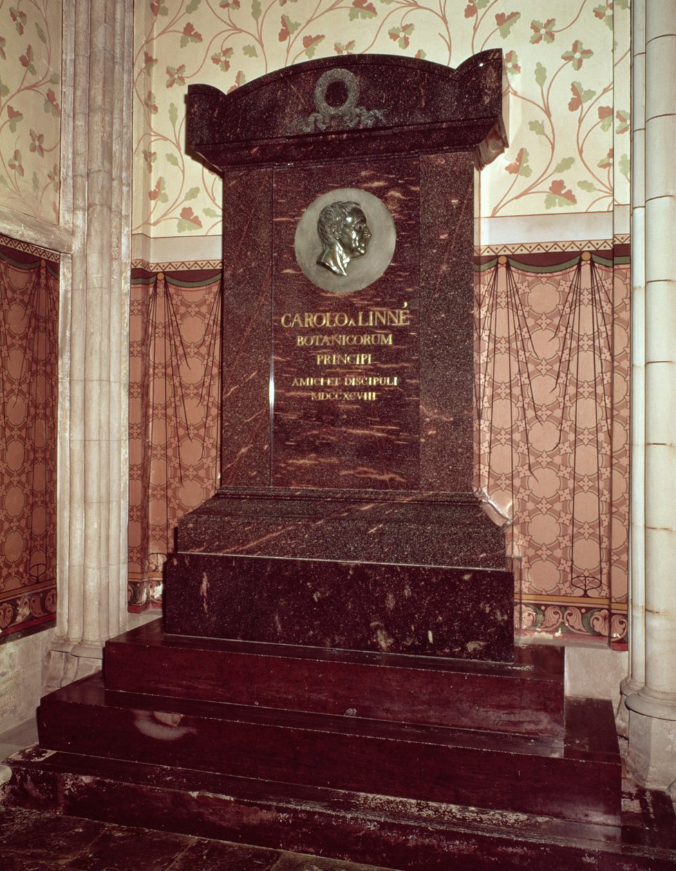 Carl Linnaeus (1707-78) sírja alkotó: Swedish School