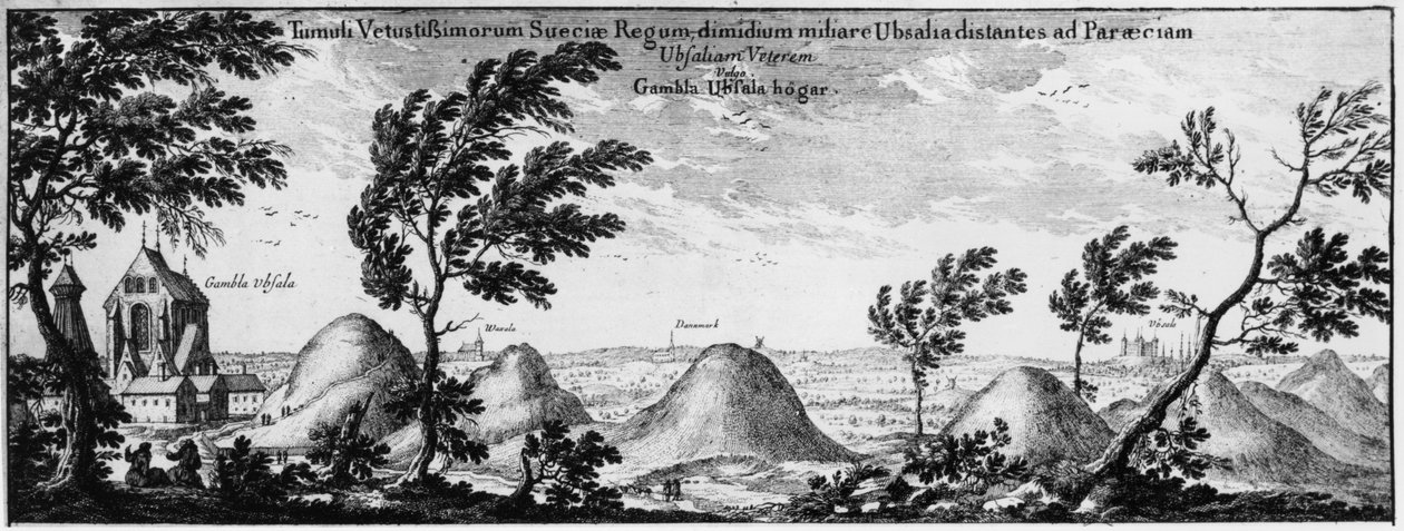 Temetkezési halmok Uppsalában, Svédországban alkotó: Swedish School