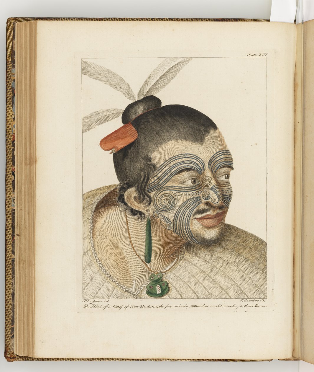 Illusztráció a "Déli-tengeri utazás naplójából: Őfelsége hajóján, az Endeavourban", 1794 alkotó: Sydney Parkinson