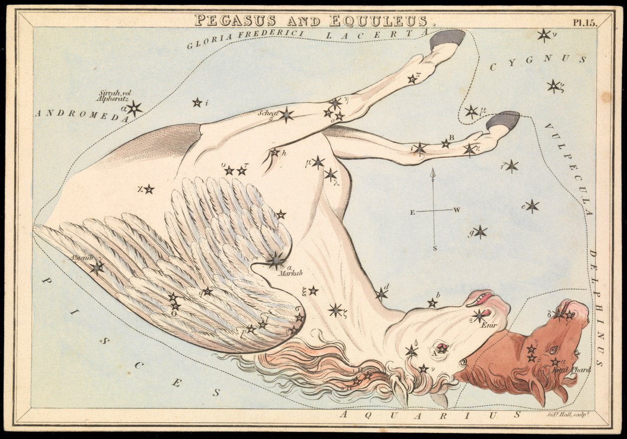 Pegazus és Equuleus, 1825 körül (kártya, papír, szövet) alkotó: Sydney Hall