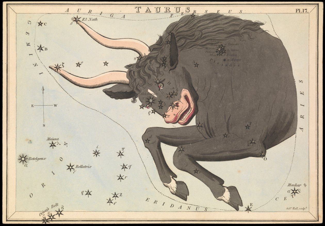Taurus, 1825 körül (kártya, papír, szövet ) alkotó: Sydney Hall