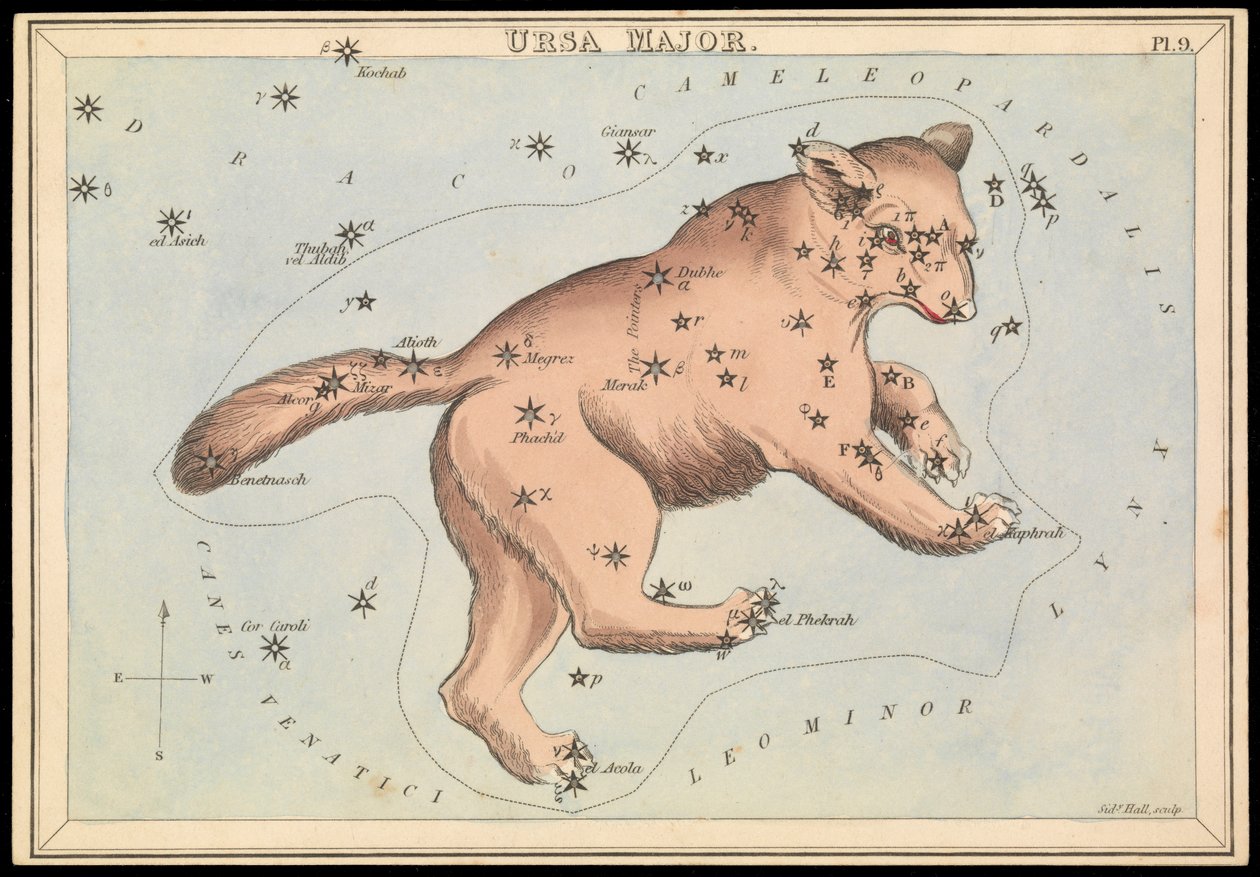 Ursa Major, 1825 körül (kártya, papír, szövet) alkotó: Sydney Hall