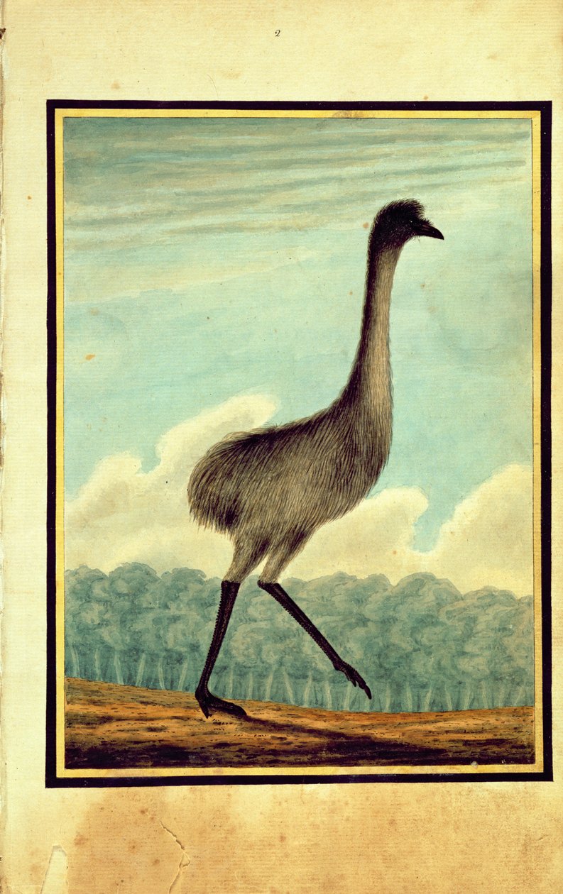 The Emue (sic), 1813 alkotó: T.R. Browne