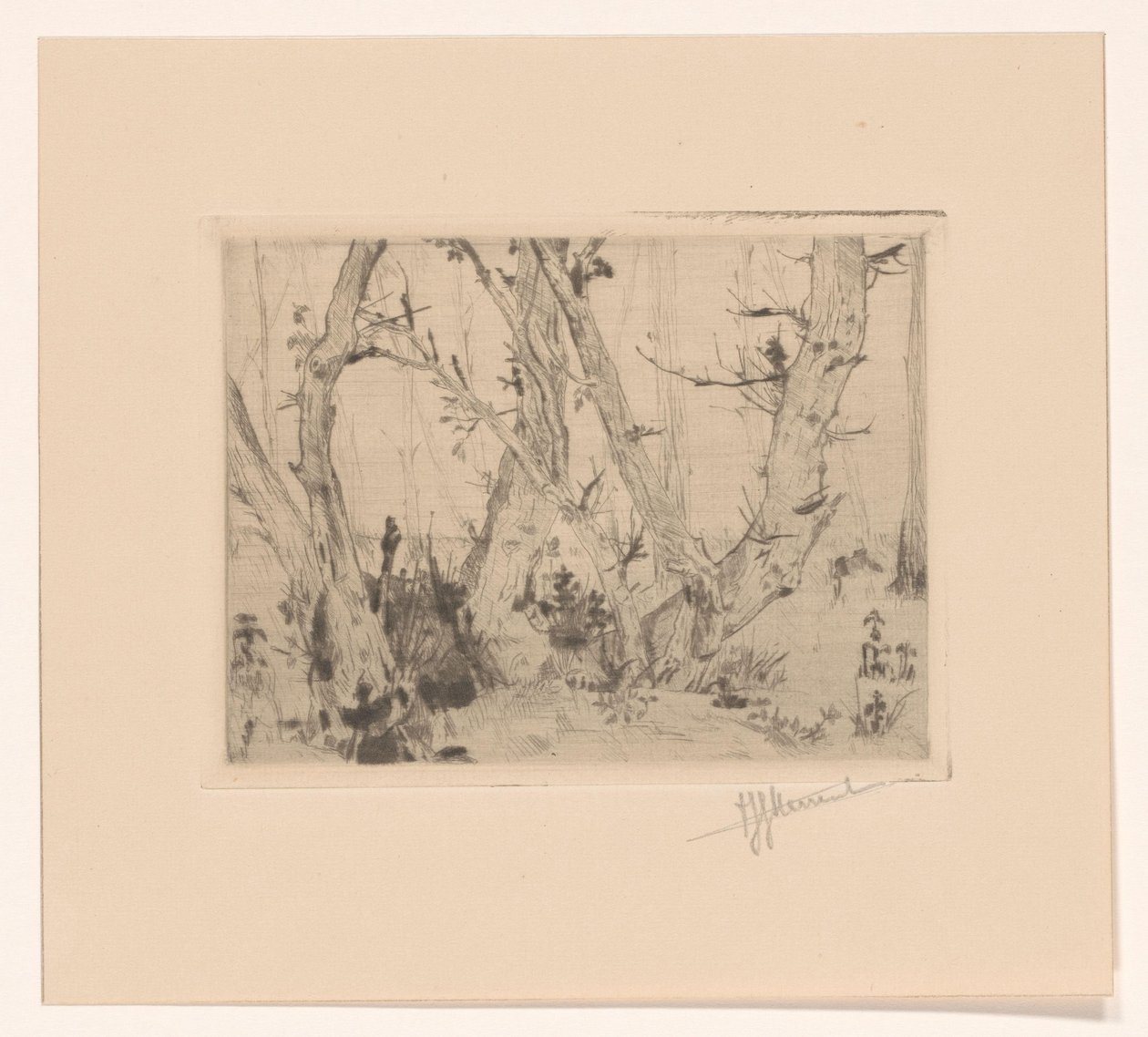 erdő kilátás alkotó: T. Sterrenburg (signed by artist)