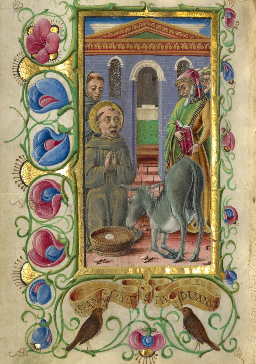Padovai Sir Anthony alkotó: Taddeo Crivelli