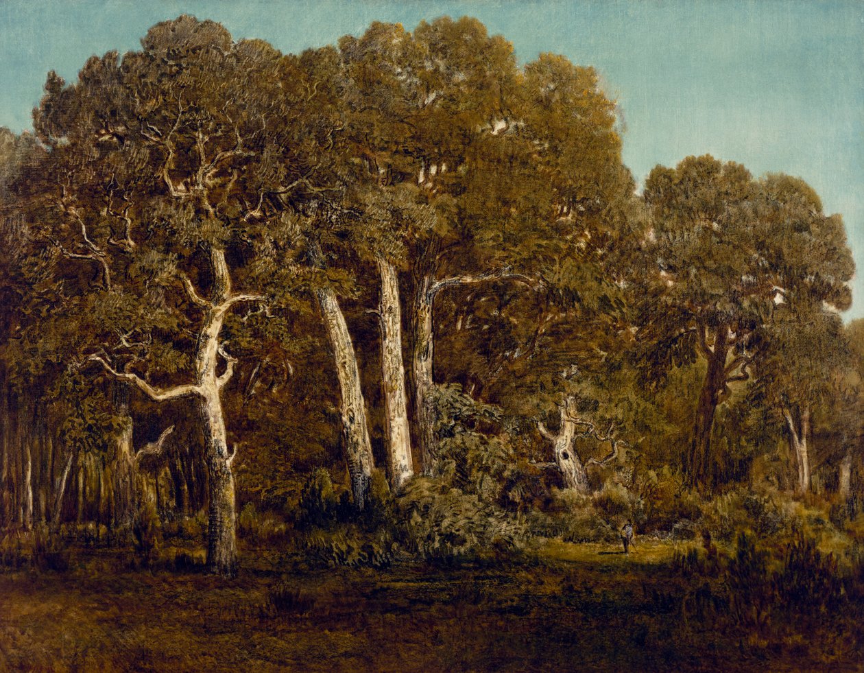 Old Bas-Breau nagy tölgyei, 1864 alkotó: Pierre Etienne Theodore Rousseau