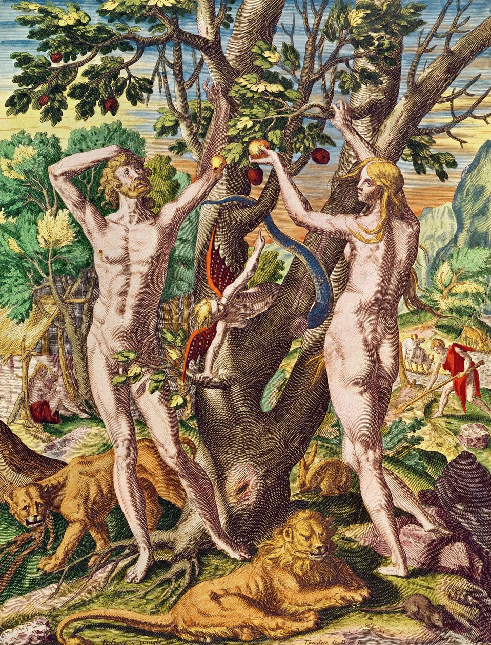 Admiranta Narratio... Ádám és Éva (40. oldal), 1585-1588 (színes metszet) alkotó: Theodore de Bry