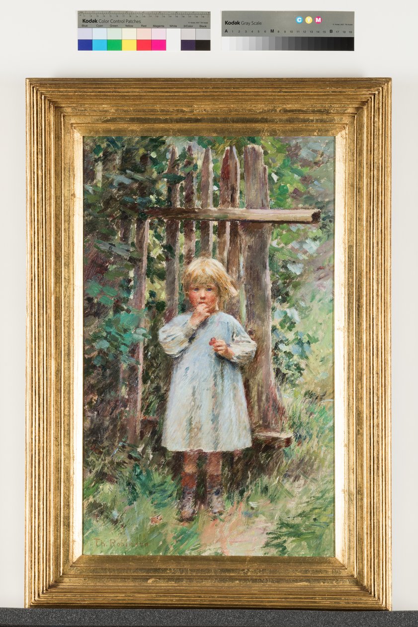 Egy martalóc alkotó: Theodore Robinson