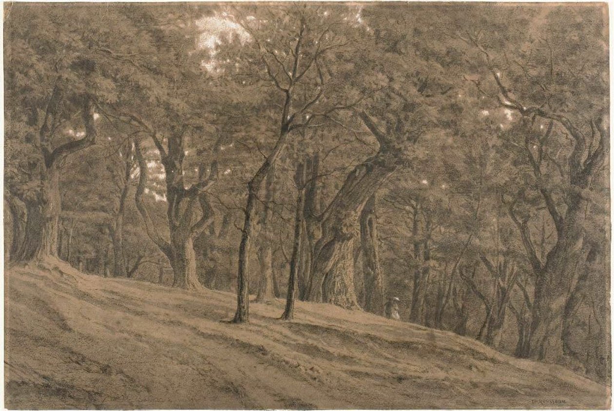 A Fontainbleau-i erdőben alkotó: Theodore Rousseau