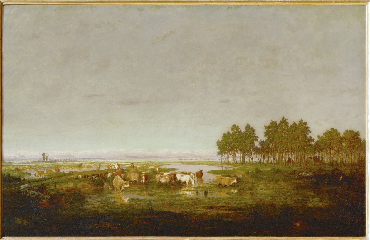 Egy mocsár a Landesban ... alkotó: Theodore Rousseau