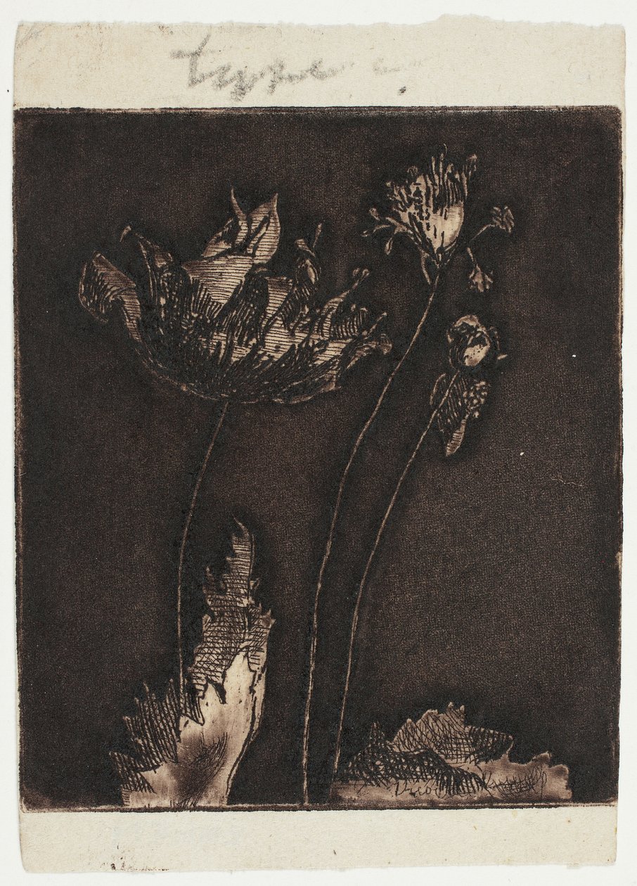 Utolsó Pipacsok alkotó: Theodore Roussel