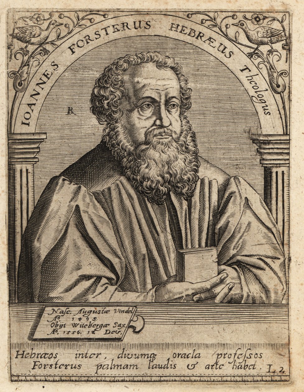 Johann Forster alkotó: Theodore de Bry