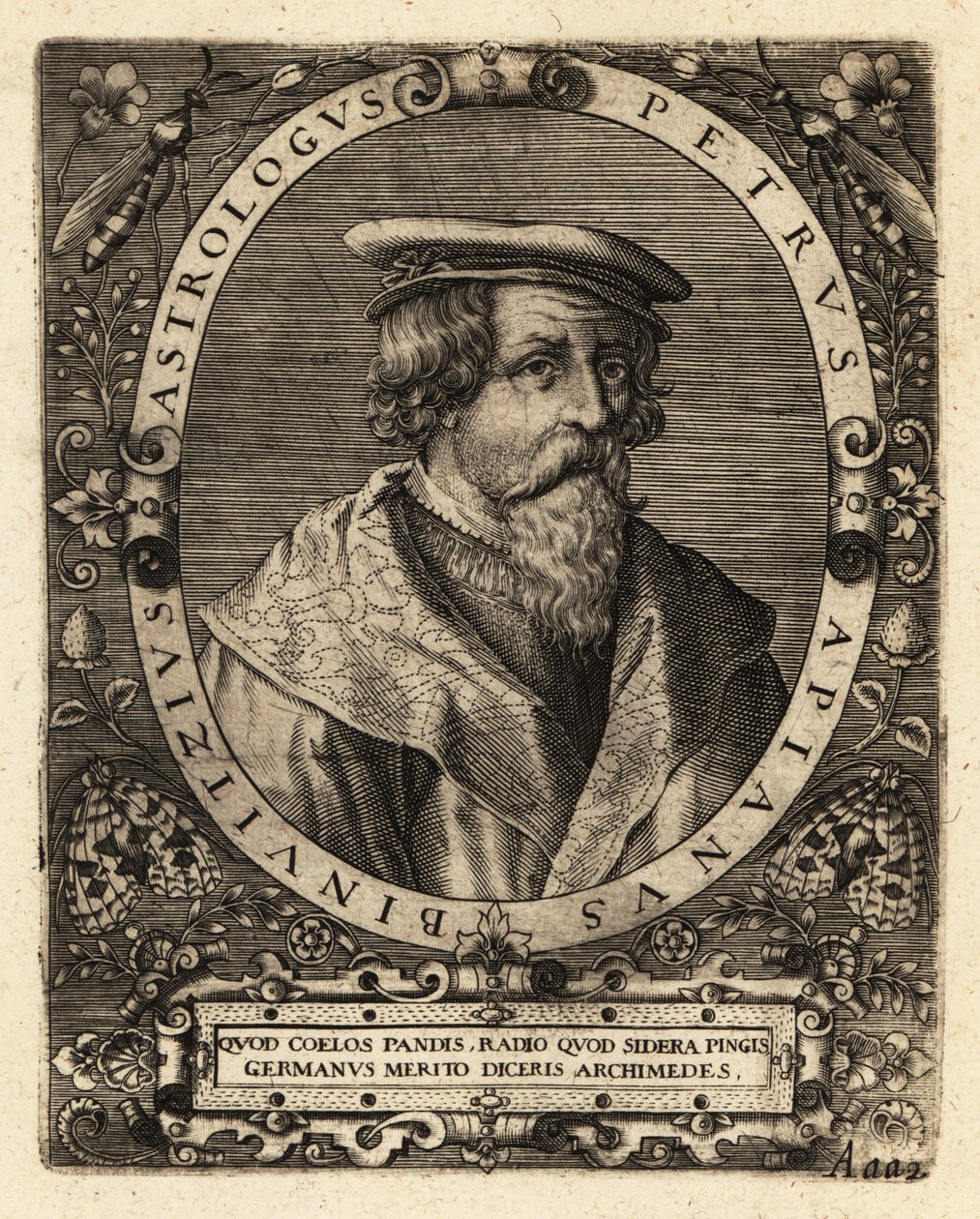 Peter Apian német csillagász. alkotó: Theodore de Bry