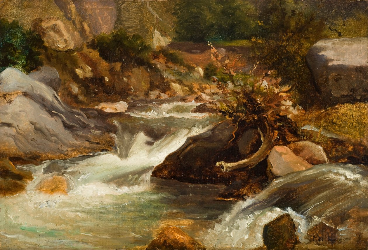 Tájkép tanulmány (La Source) 1830 körül (olaj, papír, panelre szerelve) alkotó: Pierre Etienne Theodore Rousseau