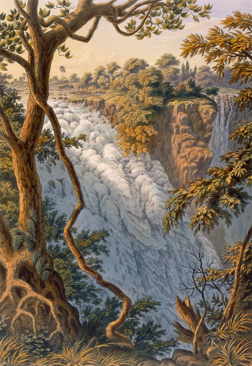Victoria Falls: Victoria Falls: Az ugráló víz alkotó: Thomas Baines