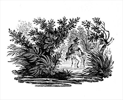 Folyóvágás a folyón, a Land Birdsből, 1797 körül (fametszet) alkotó: Thomas Bewick