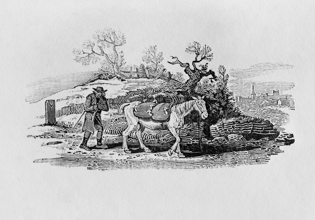A piacra szállított libák a "History of British Birds and Quadrupeds" című könyvből alkotó: Thomas Bewick