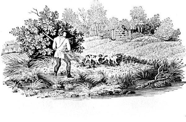 Sportsman with Two Dogs from Land Birds 1797 (fametszet) alkotó: Thomas Bewick
