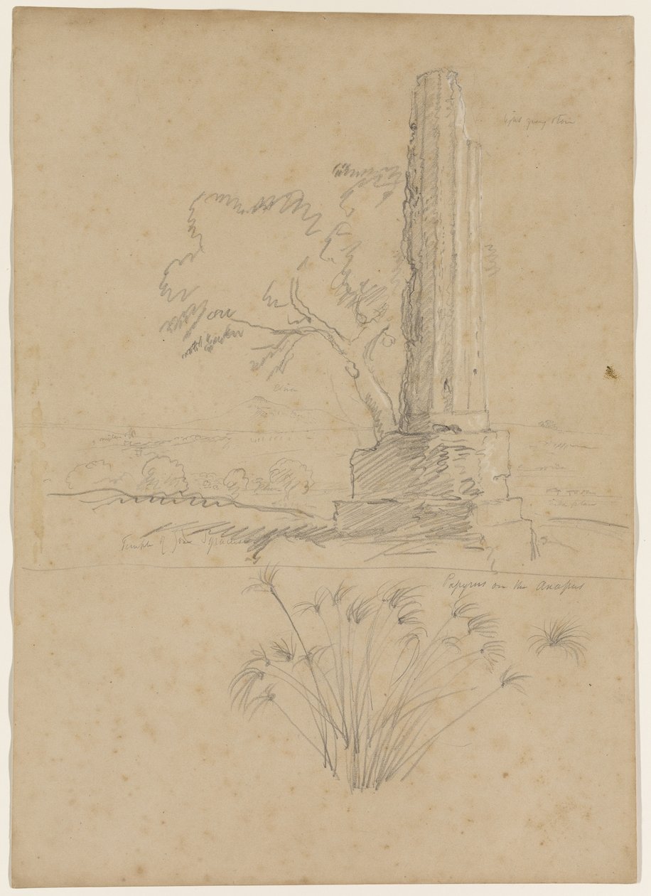 Zeusz és Papirusz temploma az Anapo folyón, Szirakúza közelében, Szicíliában, 1842 (papíron fehér krétával megerősített ceruza) alkotó: Thomas Cole