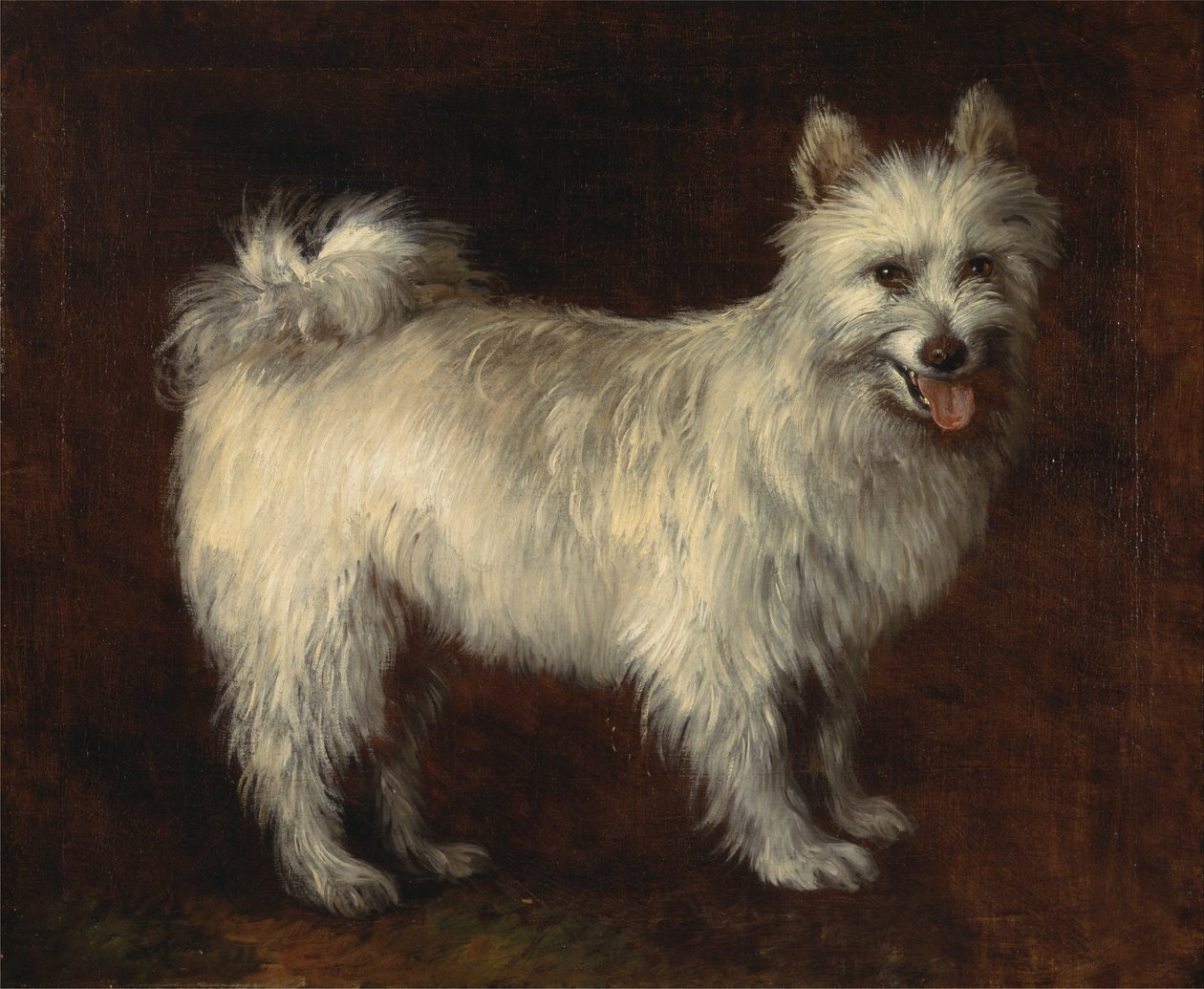 Pomerániai kutya alkotó: Thomas Gainsborough