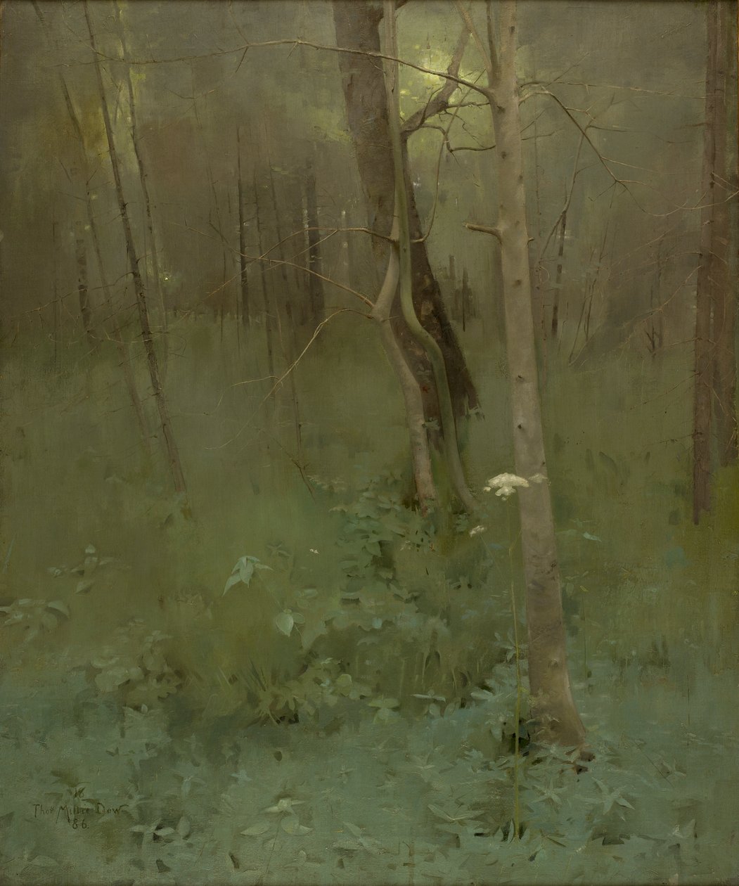 Fák, 1886 alkotó: Thomas Millie Dow